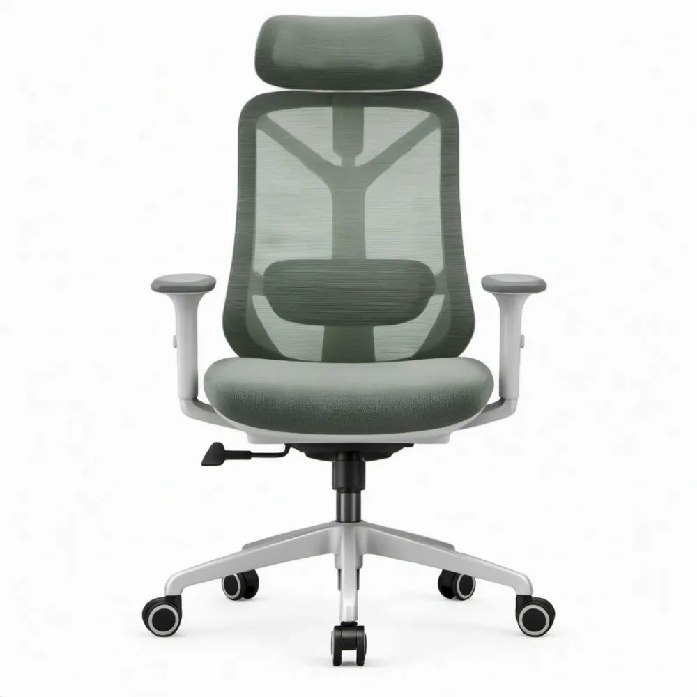 Ergonomische bureaustoel met hoofdsteun en lendensteun, groen/grijs, 66 x 66 x 114-124 cm